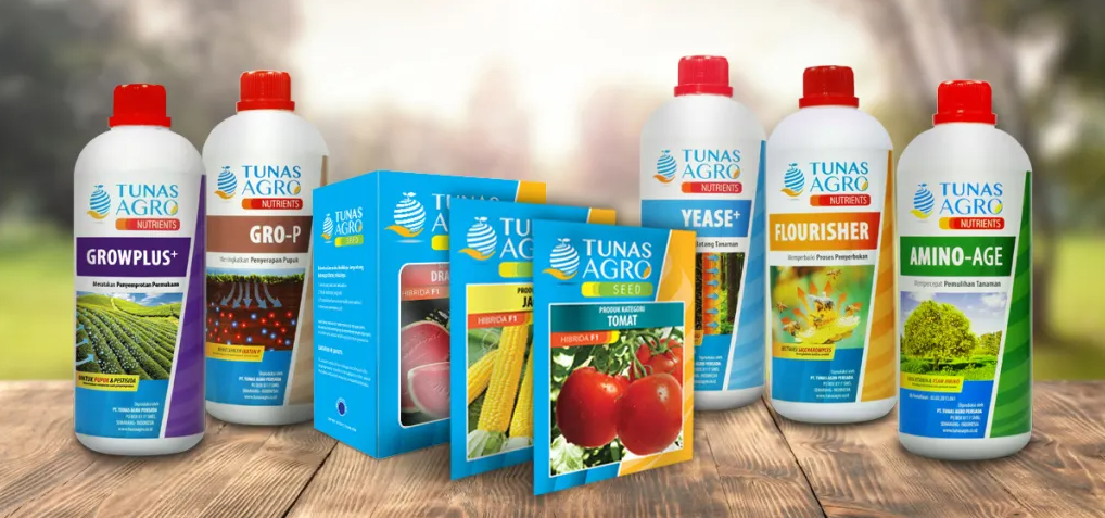 Identity & Packaging System